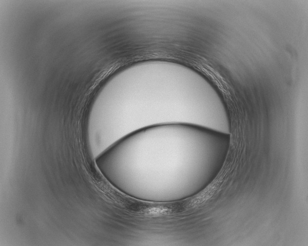 X0000116120158200911230938