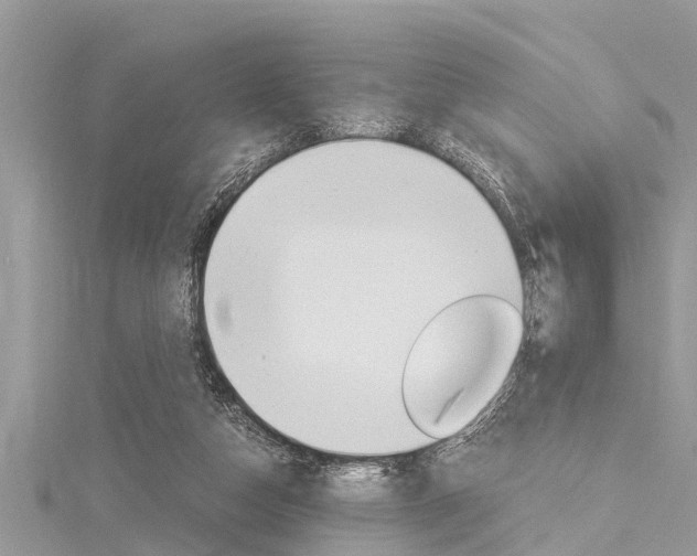 X0000116120162200911230938