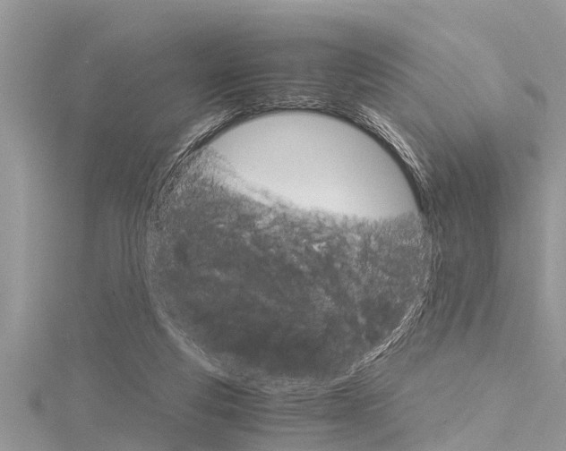 X0000116120163200911230938