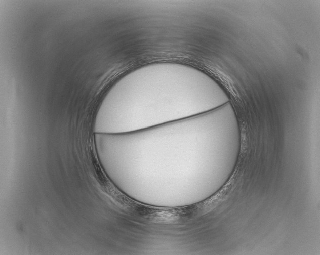 X0000116120166200911230938