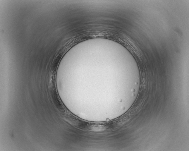 X0000116120169200911230938