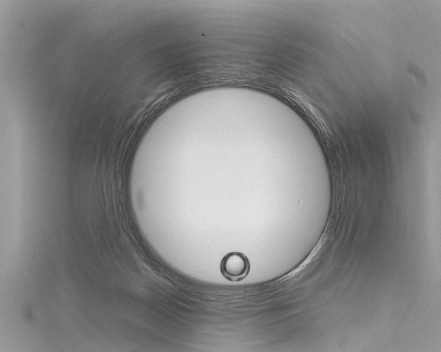 X0000116120170200911230938