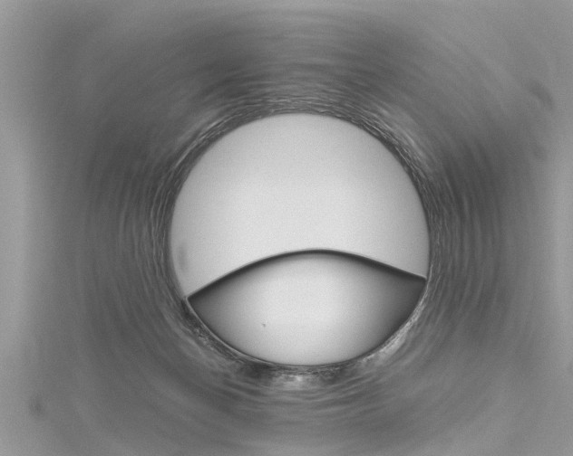 X0000116120174200911230938