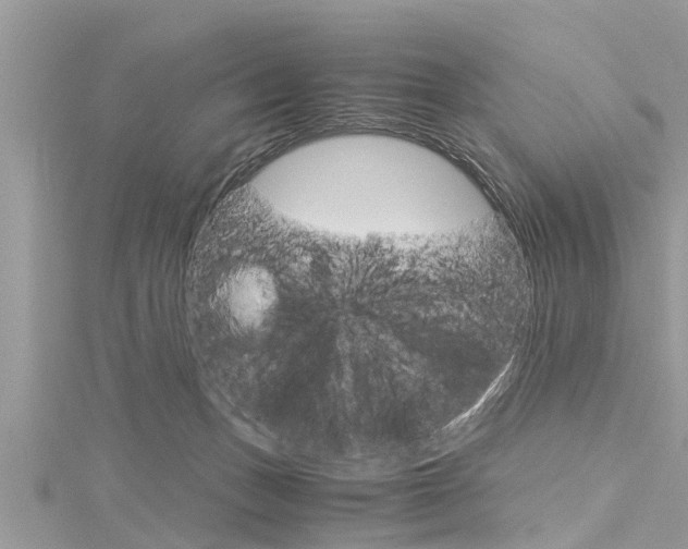 X0000116120175200911230938