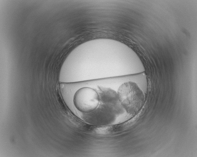 X0000116120178200911230938