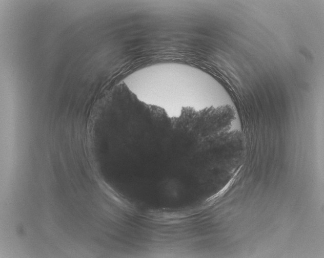 X0000116120179200911230938