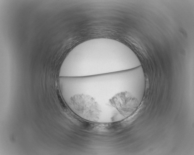 X0000116120182200911230938