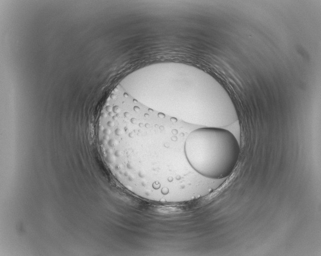 X0000116120183200911230938