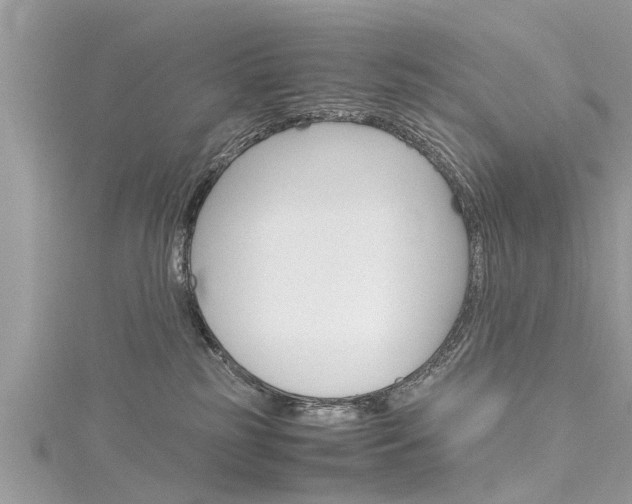 X0000116120185200911230938