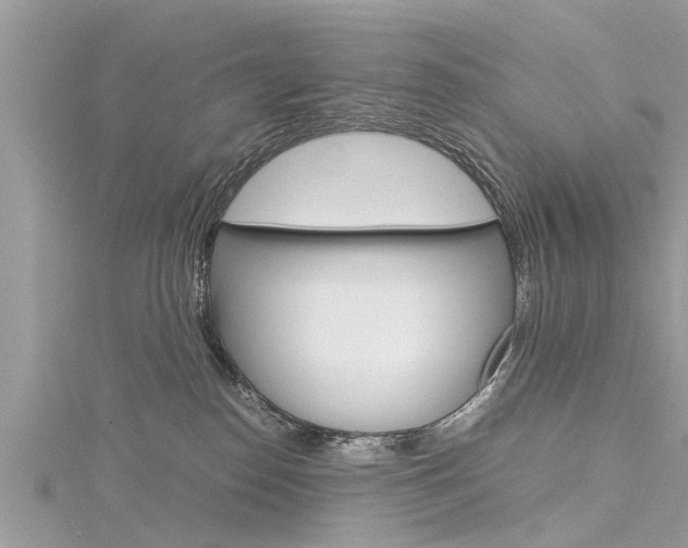 X0000116120186200911230938