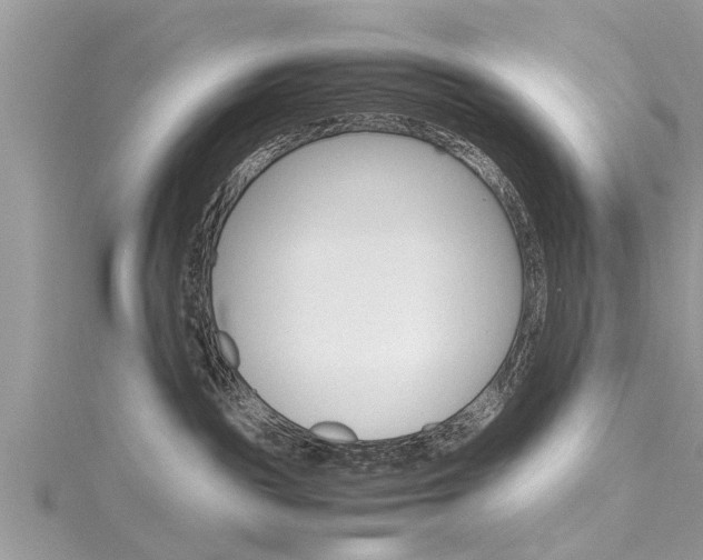 X0000116120189200911230938