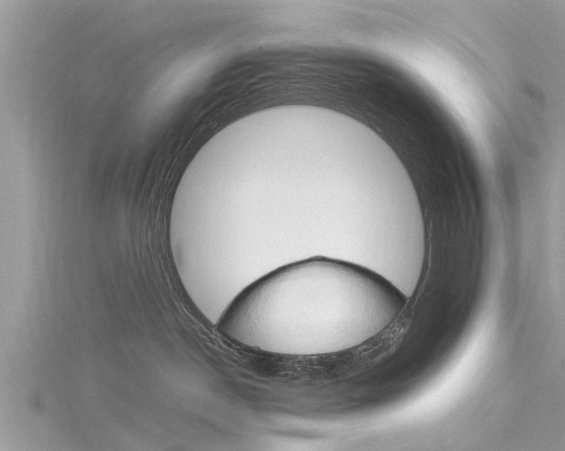 X0000116120190200911230938