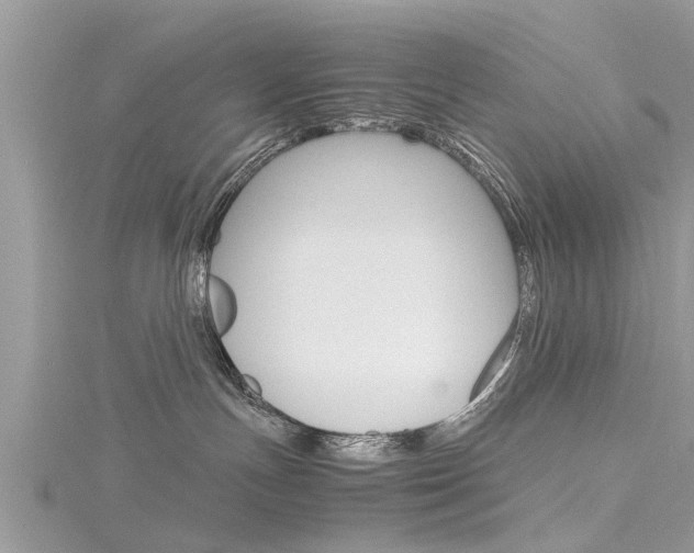 X0000116120191200911230938