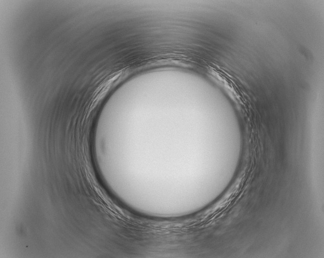 X0000116120193200911230938