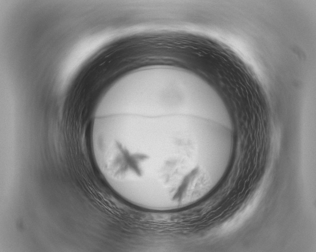 X0000116120194200911230938