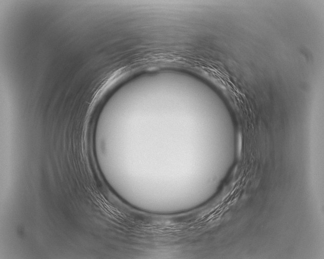 X0000116120195200911230938