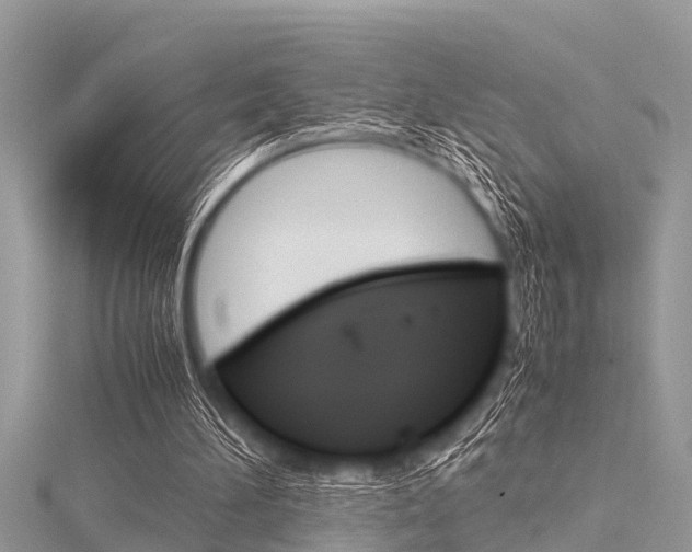 X0000116120196200911230938