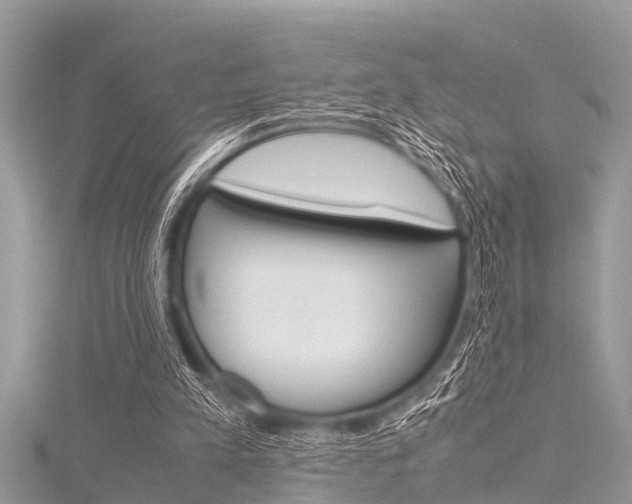 X0000116120197200911230938