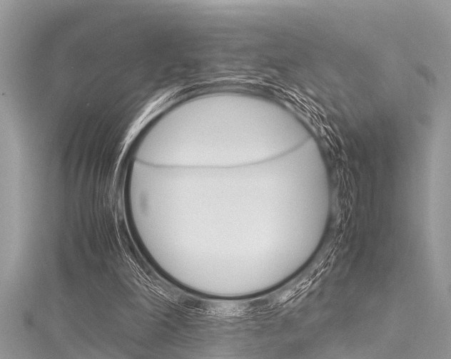 X0000116120198200911230938