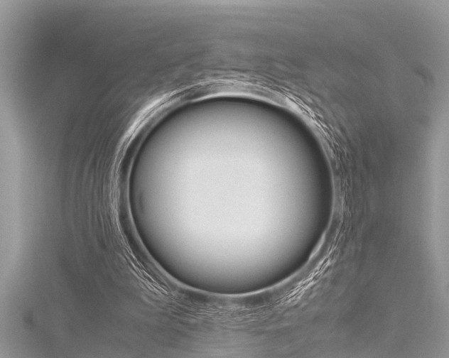 X0000116120199200911230938