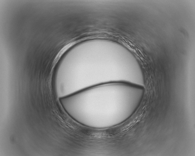 X0000116120200200911230938