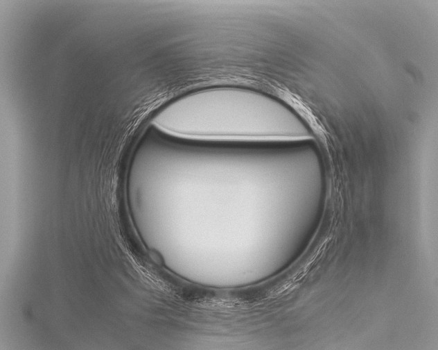 X0000116120201200911230938