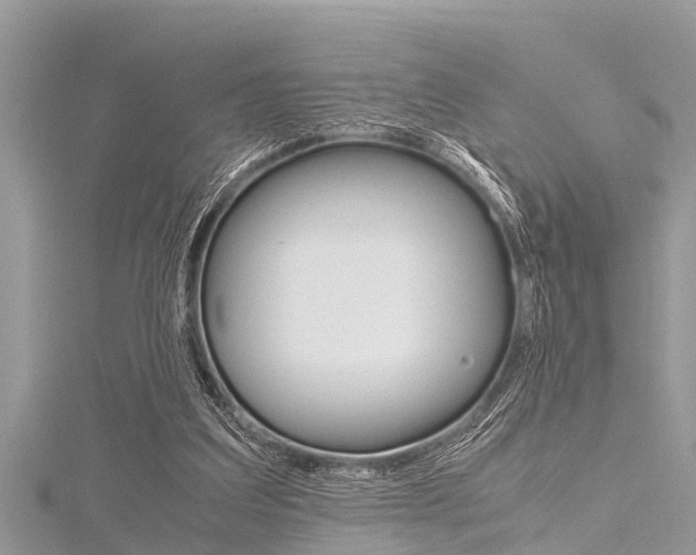 X0000116120203200911230938