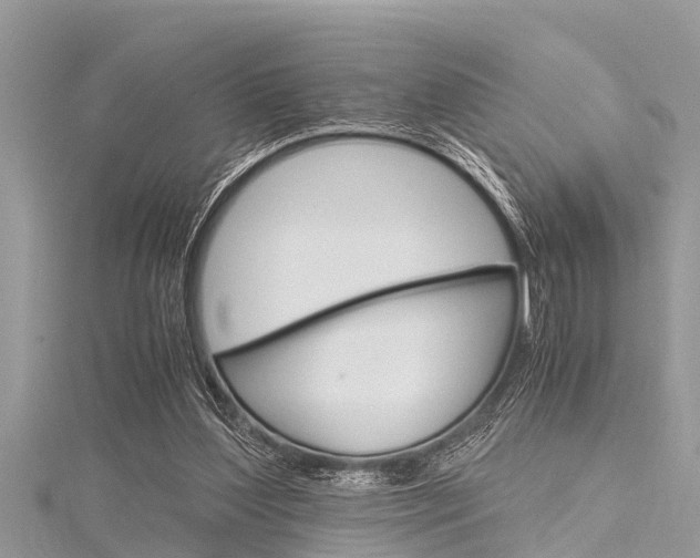 X0000116120204200911230938