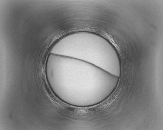 X0000116120205200911230938