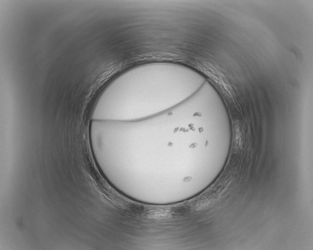 X0000116120206200911230938