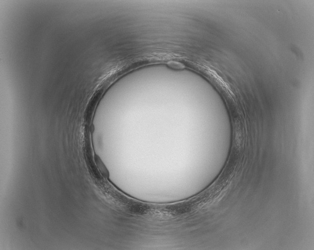 X0000116120207200911230938