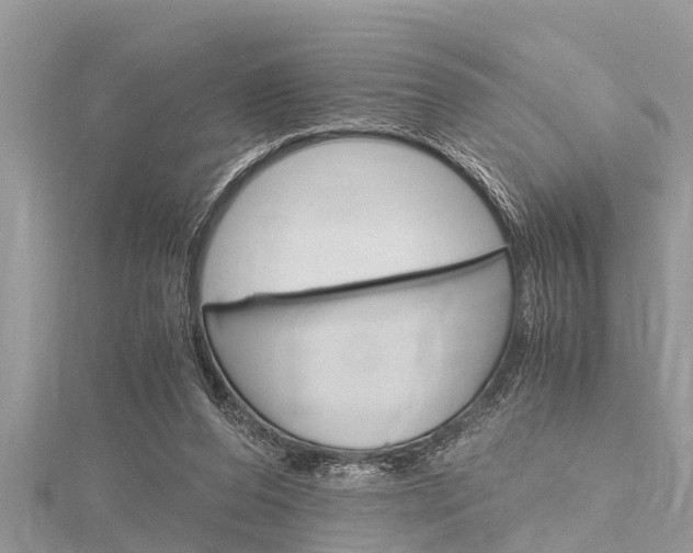 X0000116120208200911230938