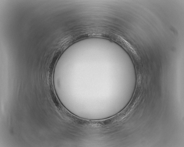 X0000116120209200911230938