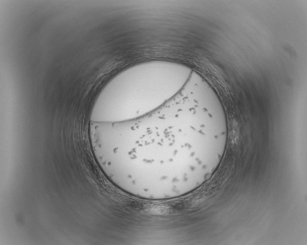 X0000116120210200911230938