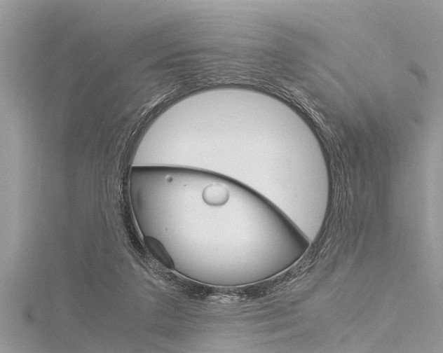 X0000116120211200911230938