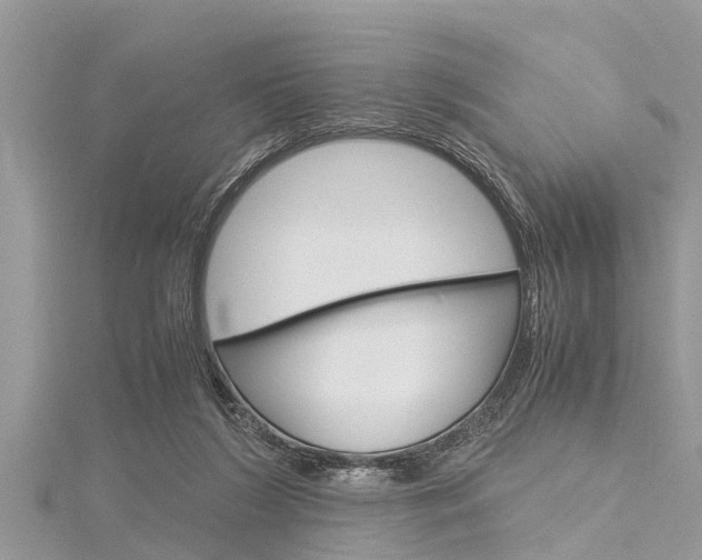 X0000116120212200911230938