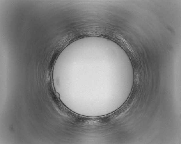 X0000116120213200911230938