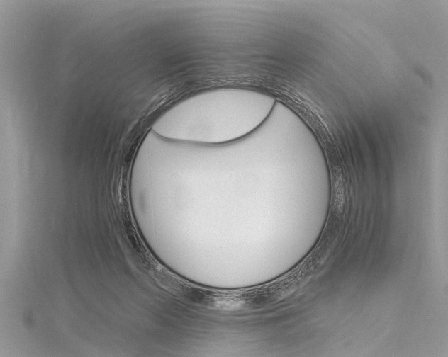 X0000116120214200911230937