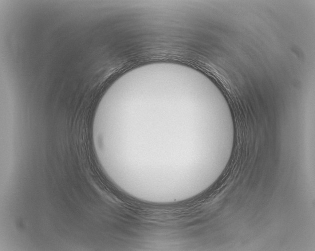 X0000116120215200911230937