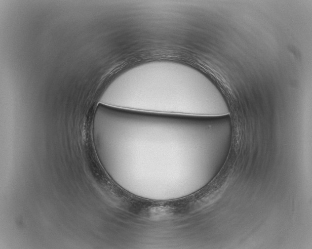 X0000116120216200911230937