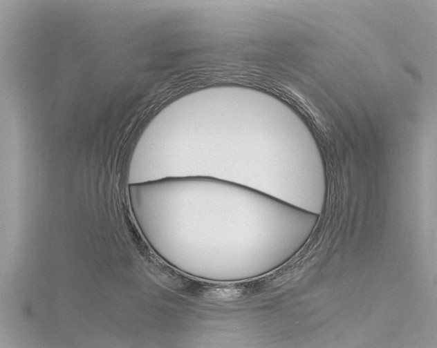 X0000116120217200911230937