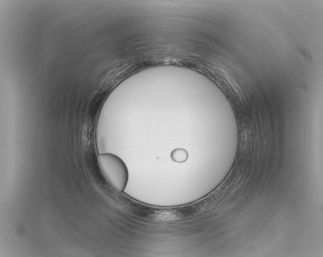 X0000116120218200911230937