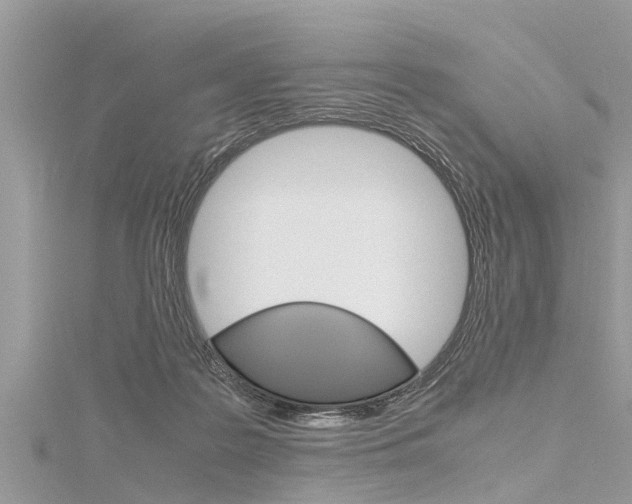 X0000116120219200911230937