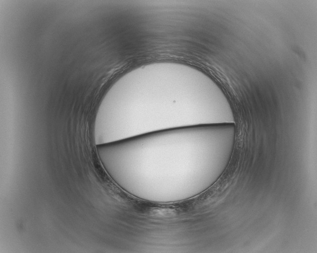 X0000116120220200911230937