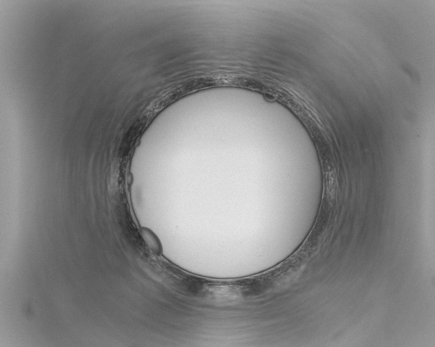 X0000116120221200911230937