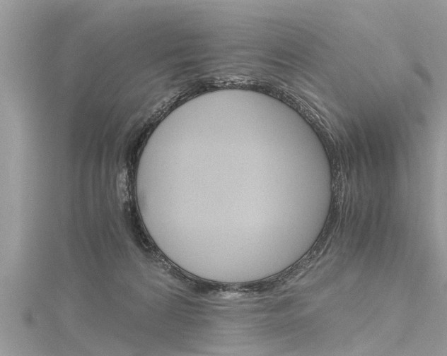 X0000116120224200911230937