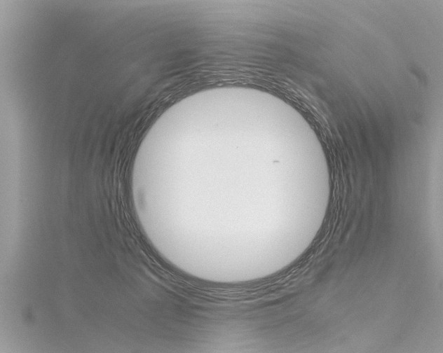 X0000116120225200911230937