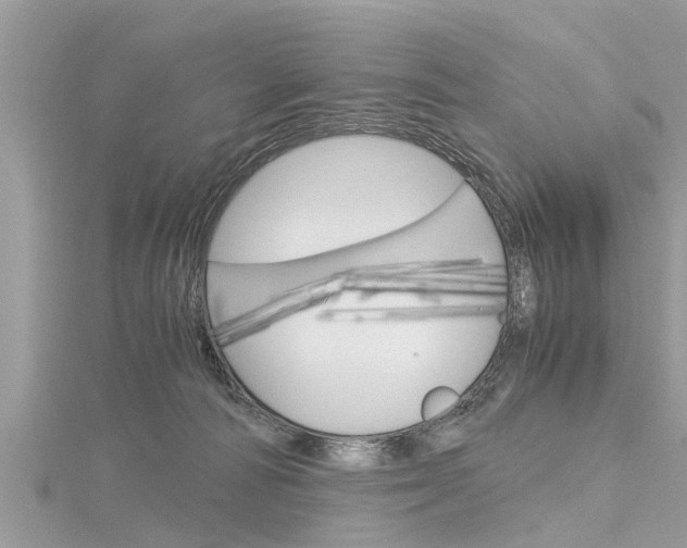 X0000116120226200911230937