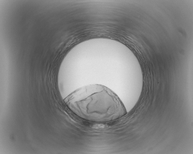 X0000116120227200911230937