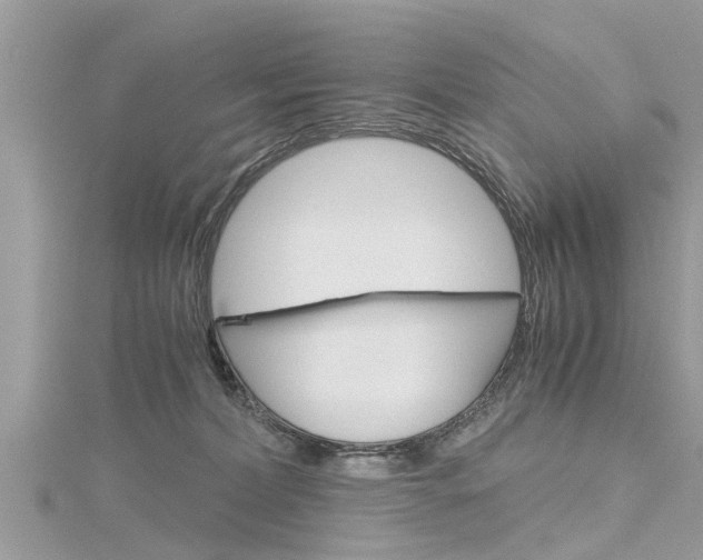 X0000116120228200911230937